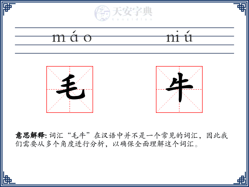 毛牛