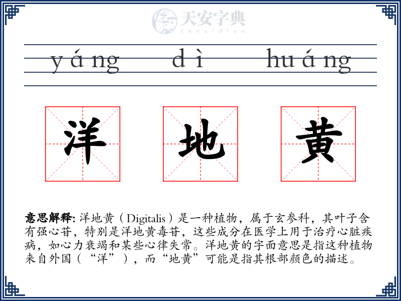 洋地黄