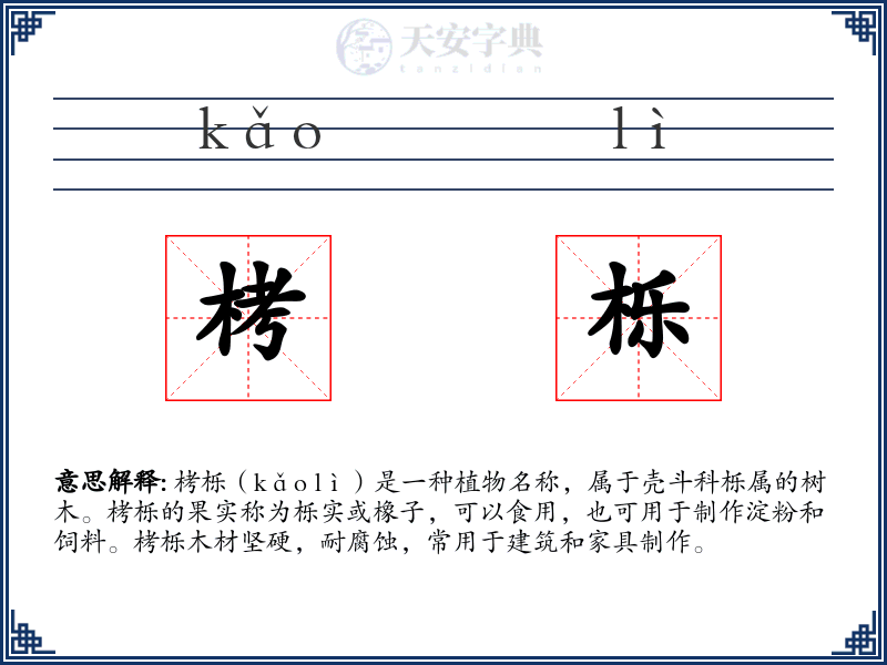 栲栎