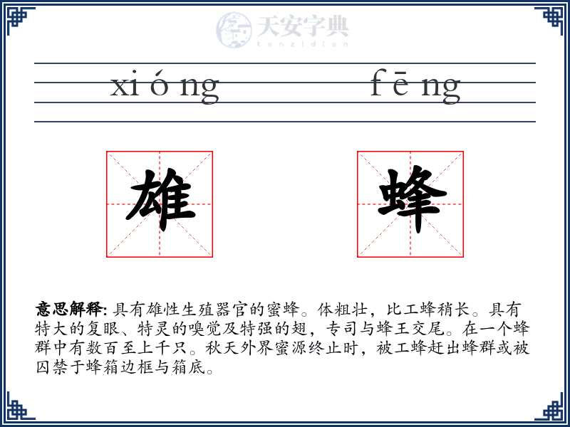 雄蜂