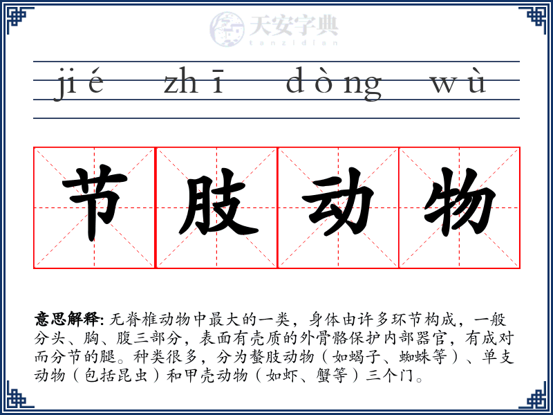 节肢动物
