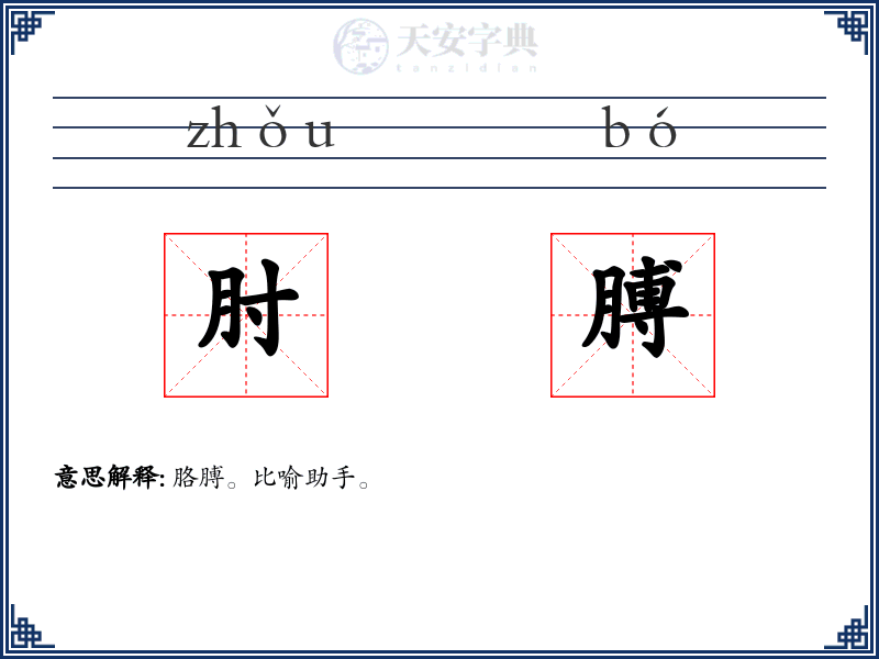 肘膊