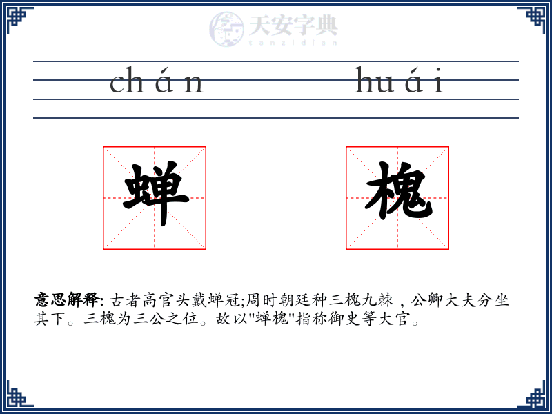 蝉槐
