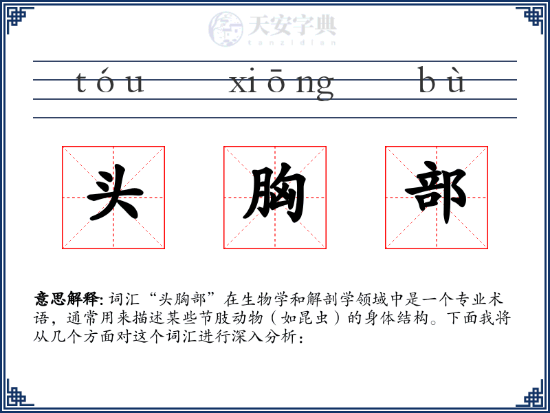 头胸部