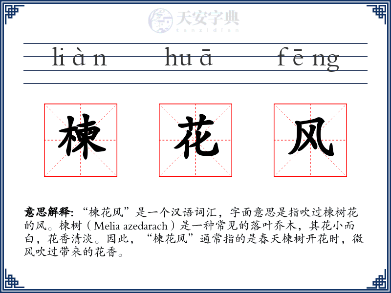 楝花风