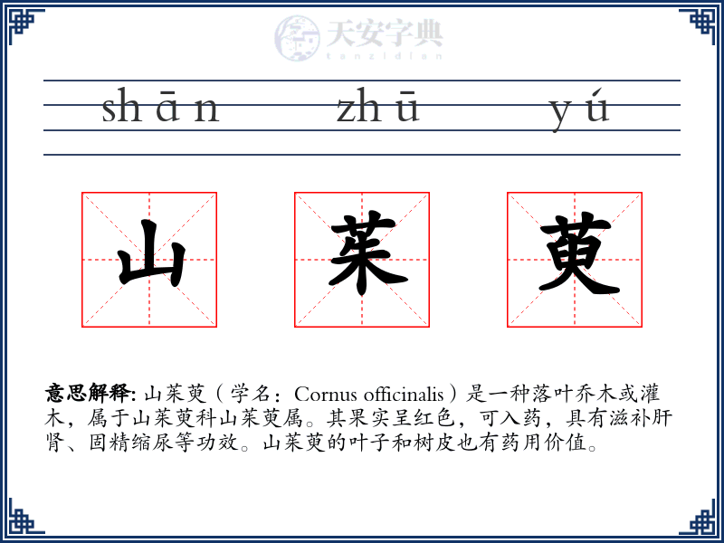 山茱萸