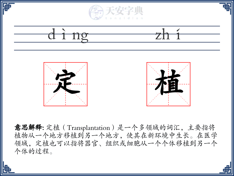 定植