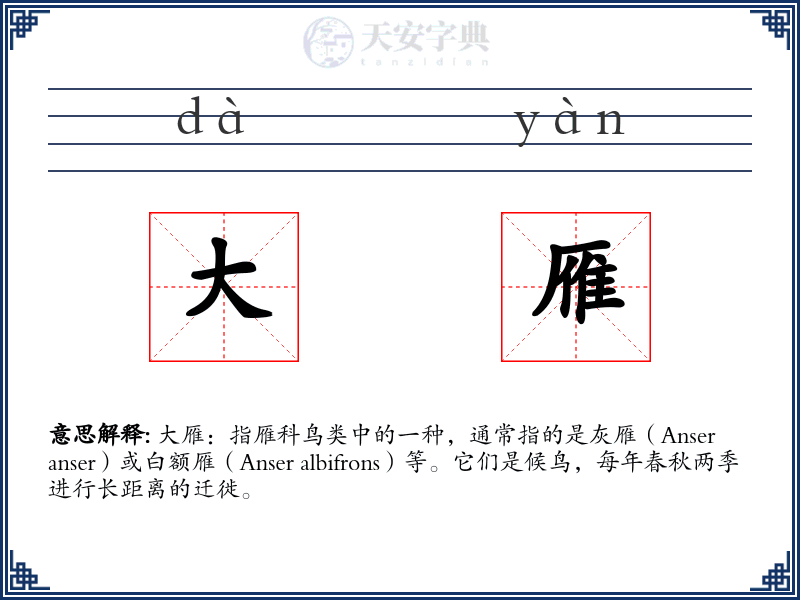 大雁