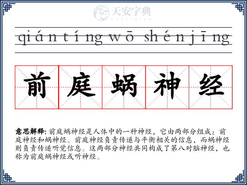 前庭蜗神经