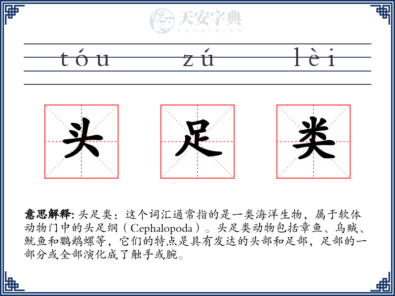 头足类