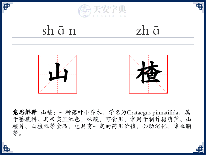 山楂
