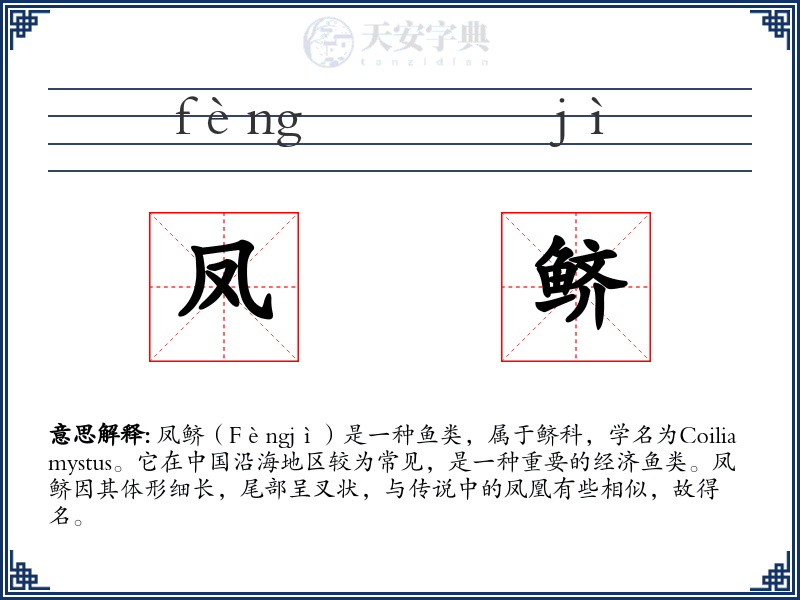 凤鲚