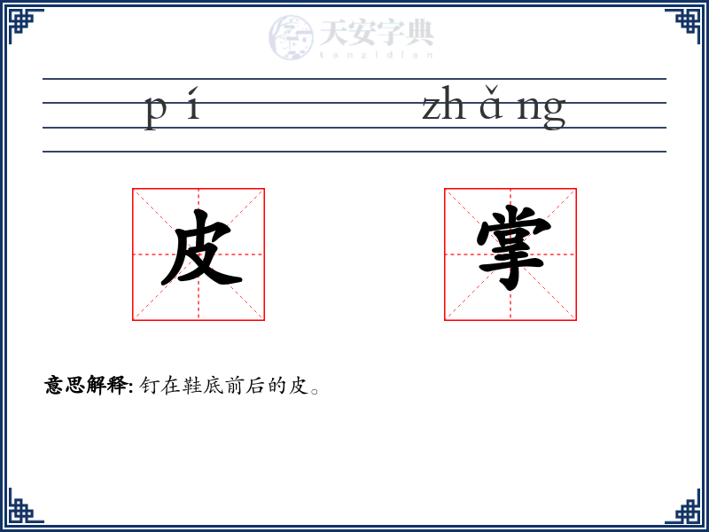 皮掌