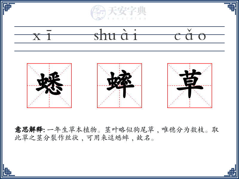 蟋蟀草