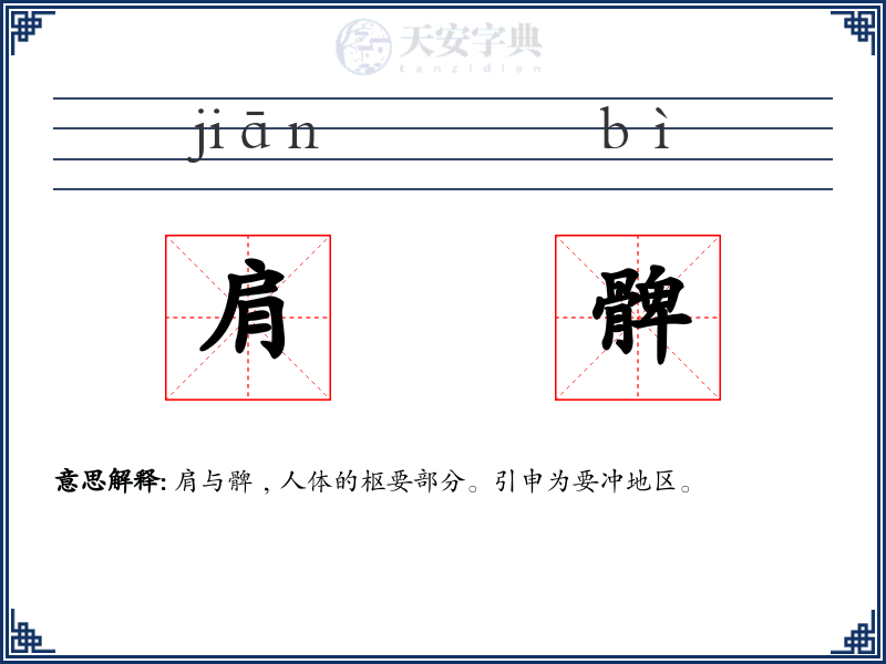 肩髀