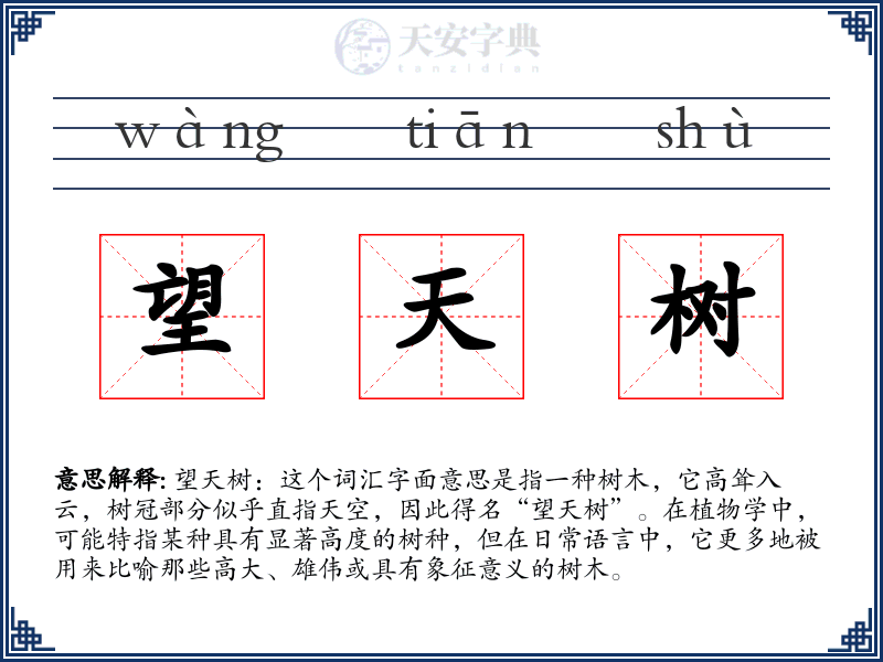 望天树