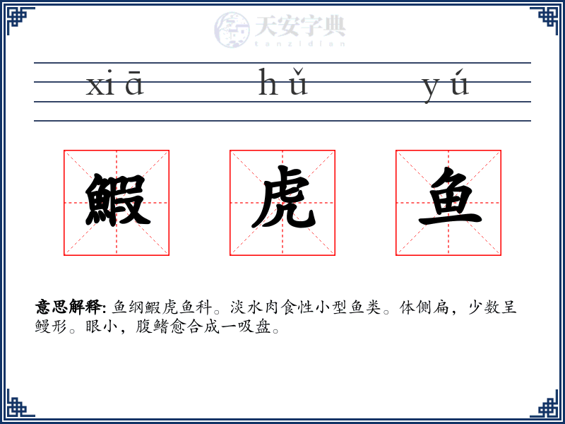 鰕虎鱼
