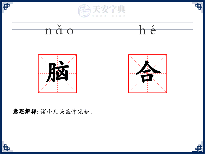 脑合
