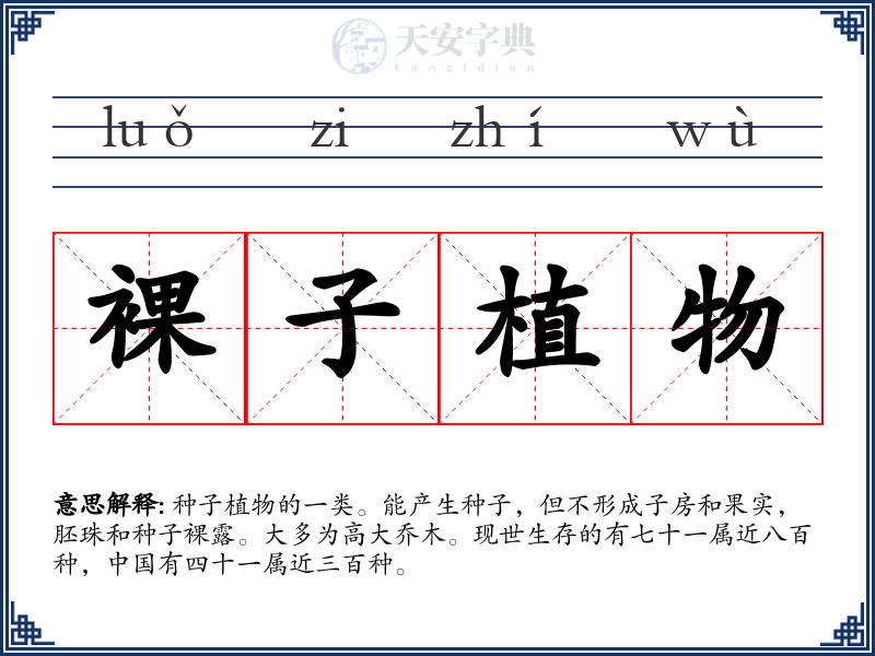 裸子植物