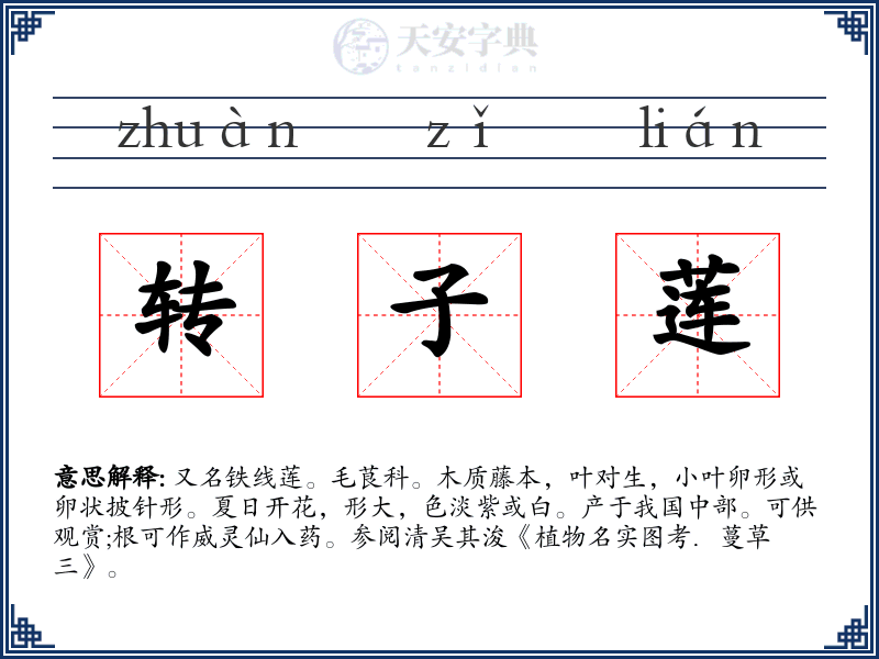 转子莲