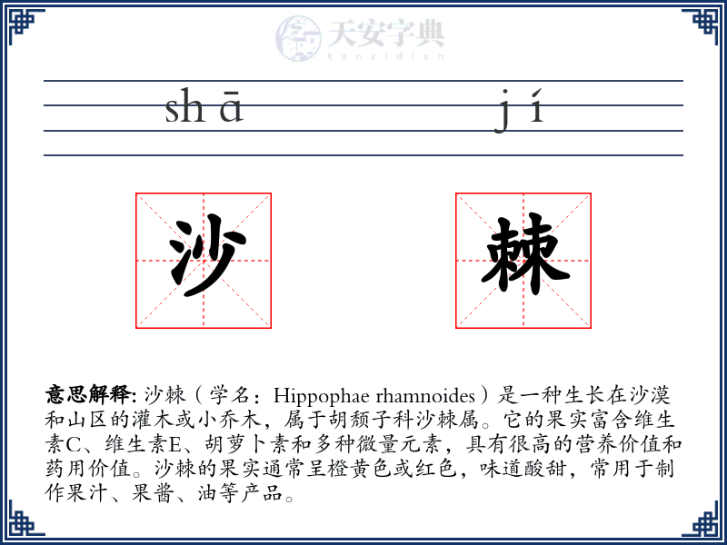 沙棘