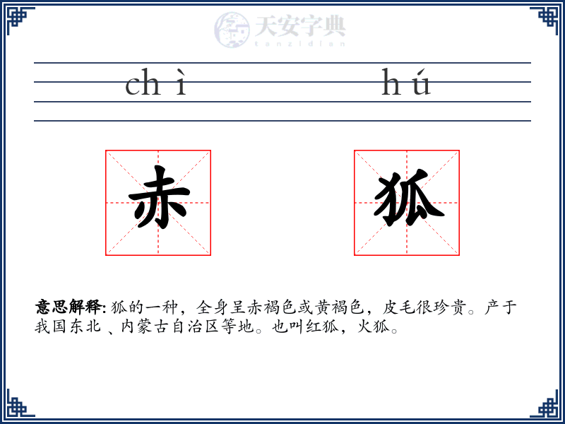 赤狐