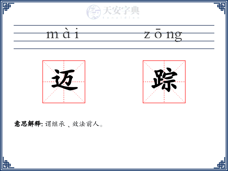 迈踪