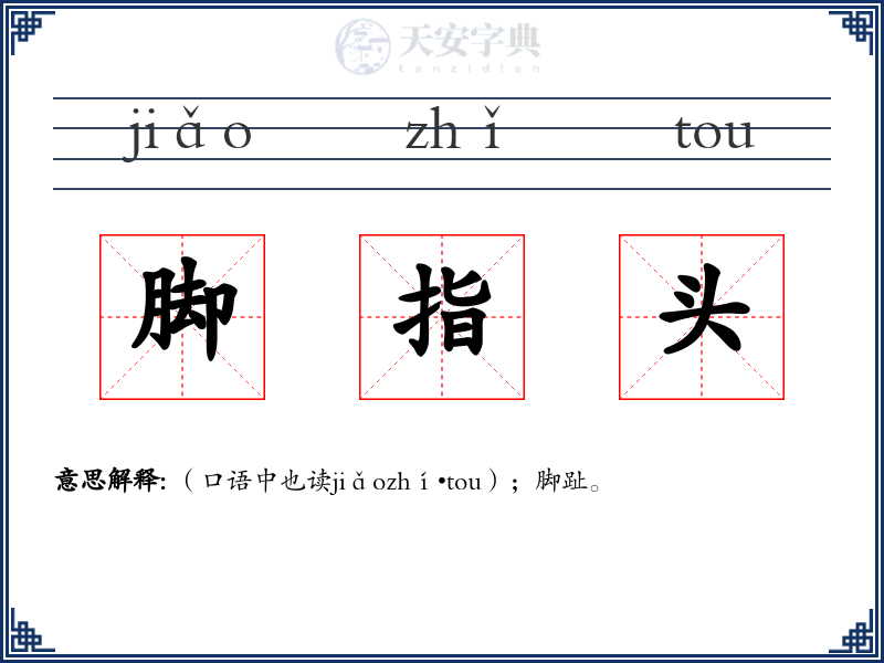 脚指头
