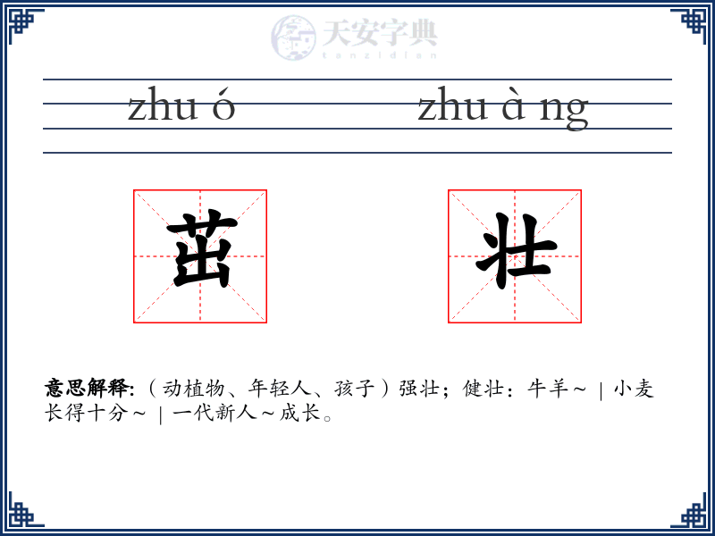 茁壮