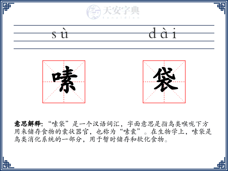 嗉袋