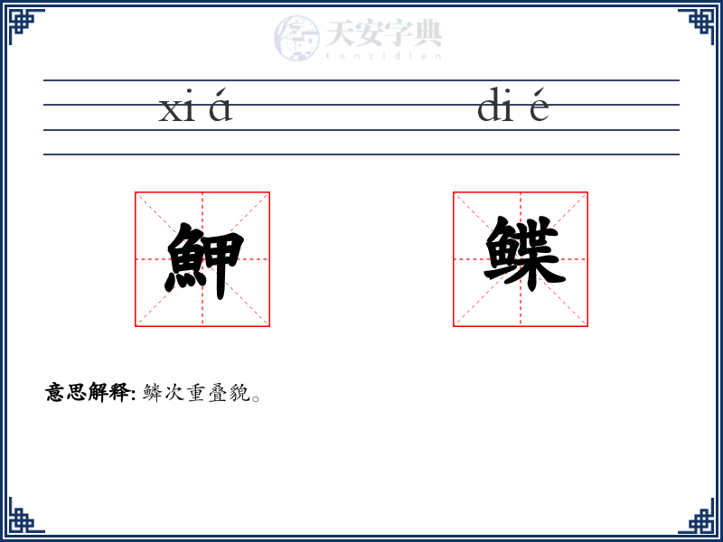 魻鲽