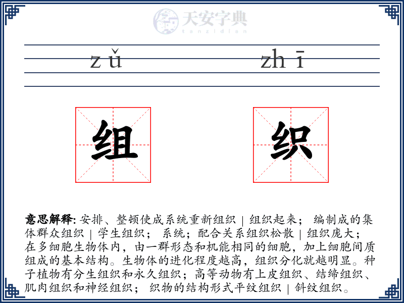 组织