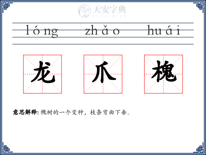 龙爪槐