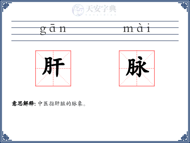 肝脉