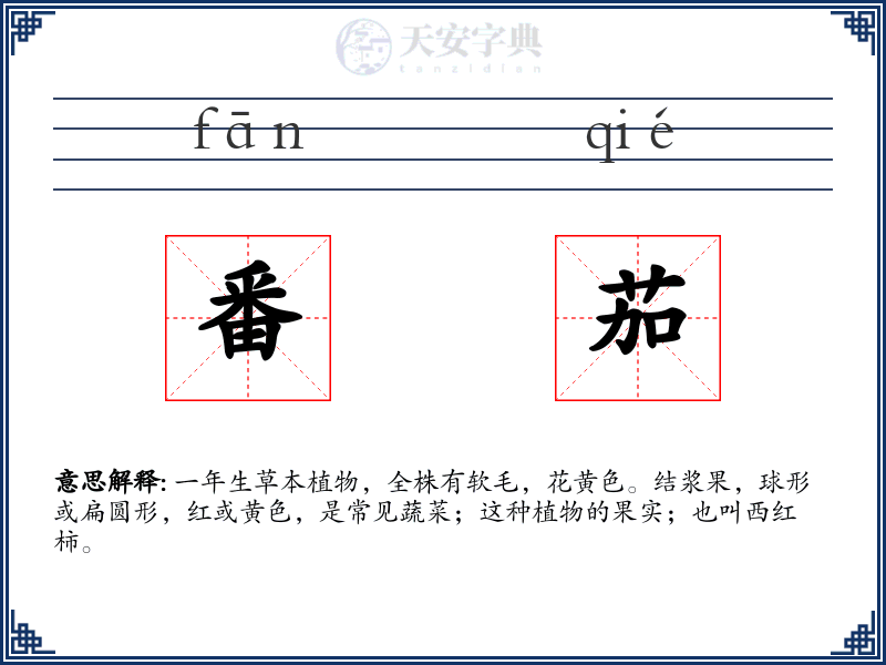 番茄