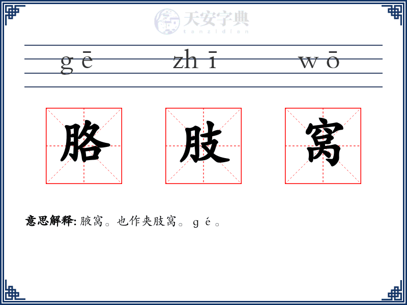 胳肢窝