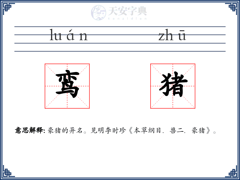 鸾猪