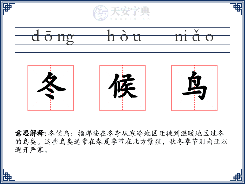 冬候鸟