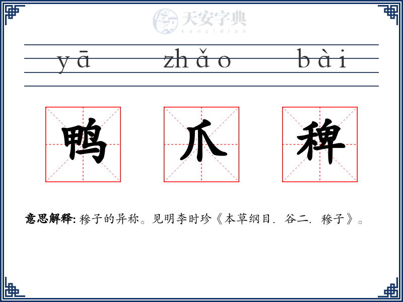 鸭爪稗