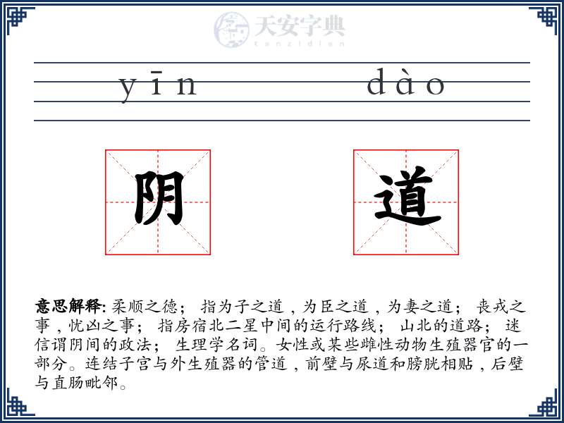阴道