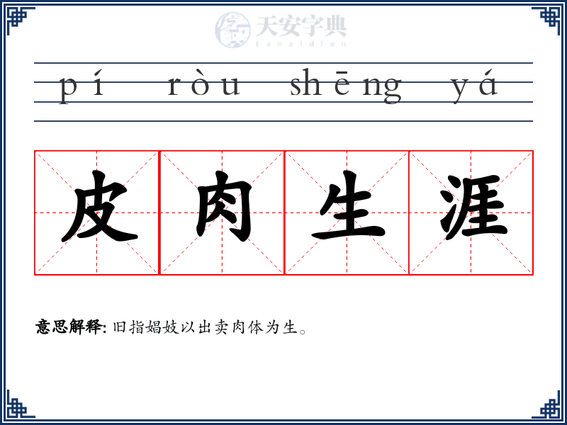 皮肉生涯