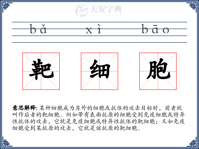 靶细胞