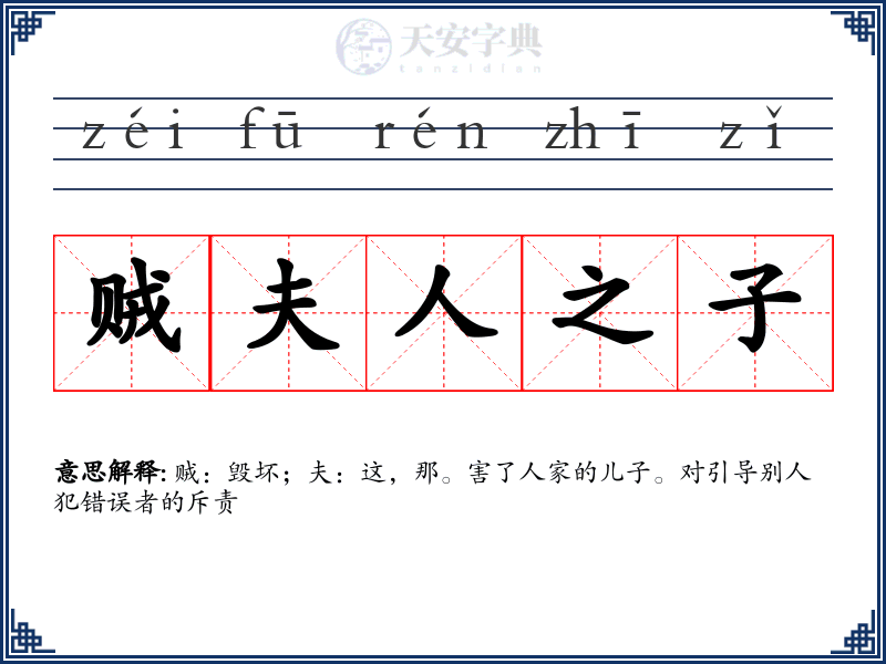 贼夫人之子