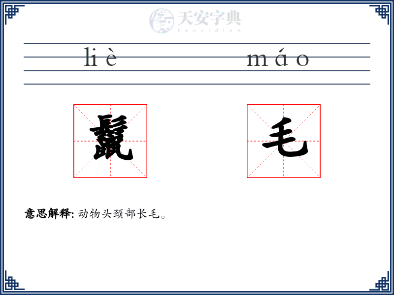 鬣毛
