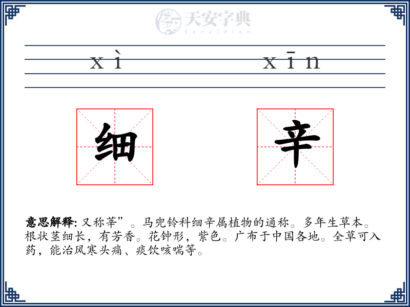 细辛