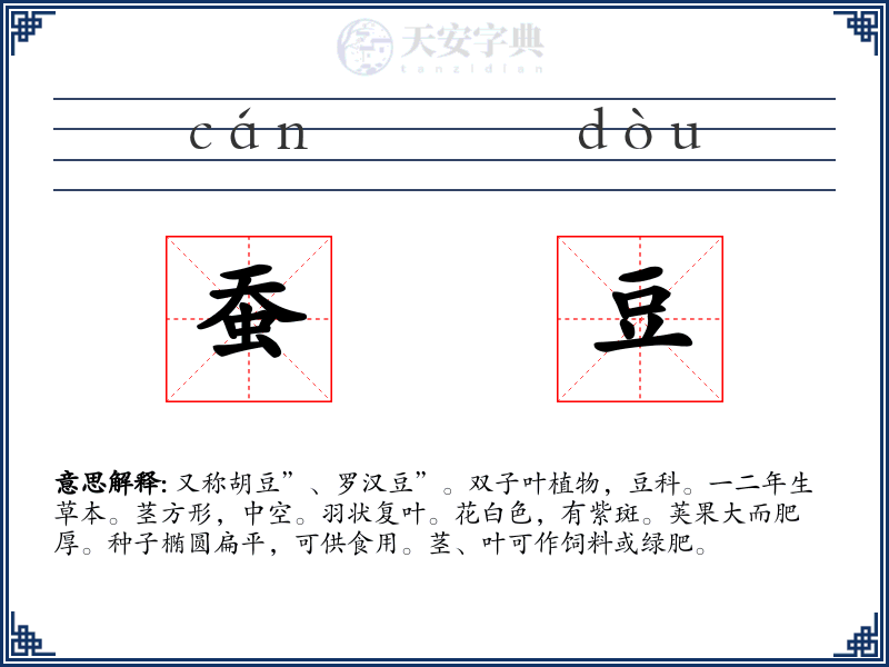 蚕豆