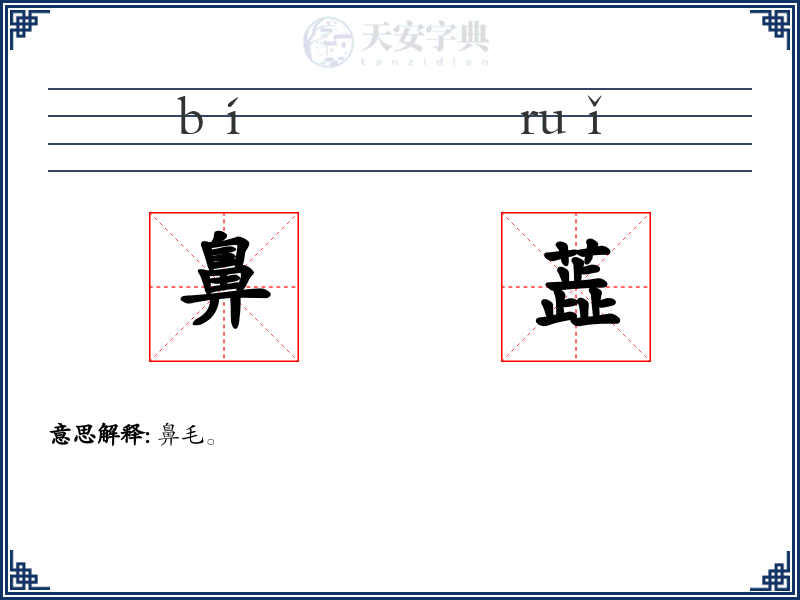 鼻蕋