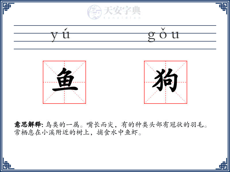 鱼狗