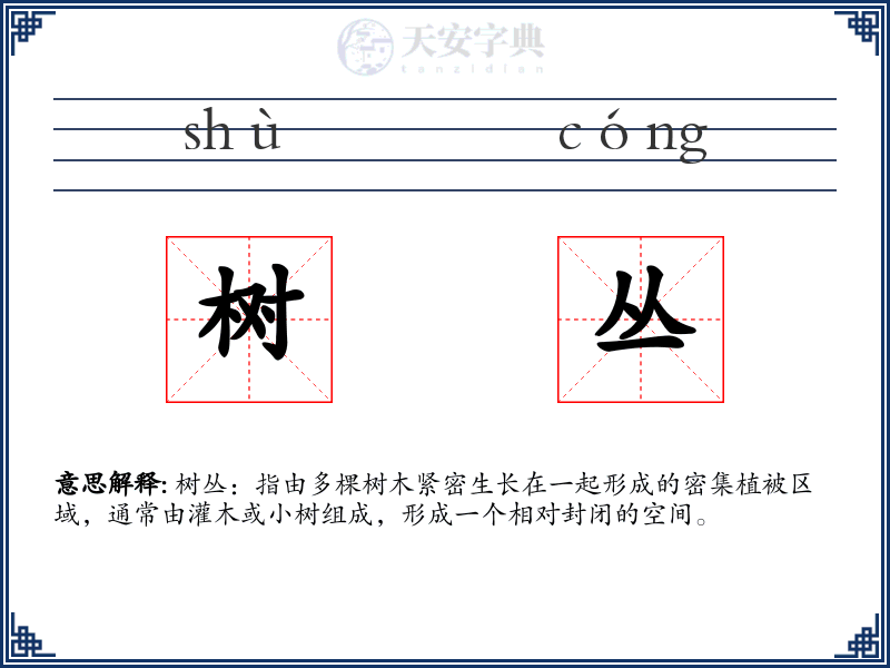 树丛