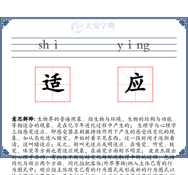 适应